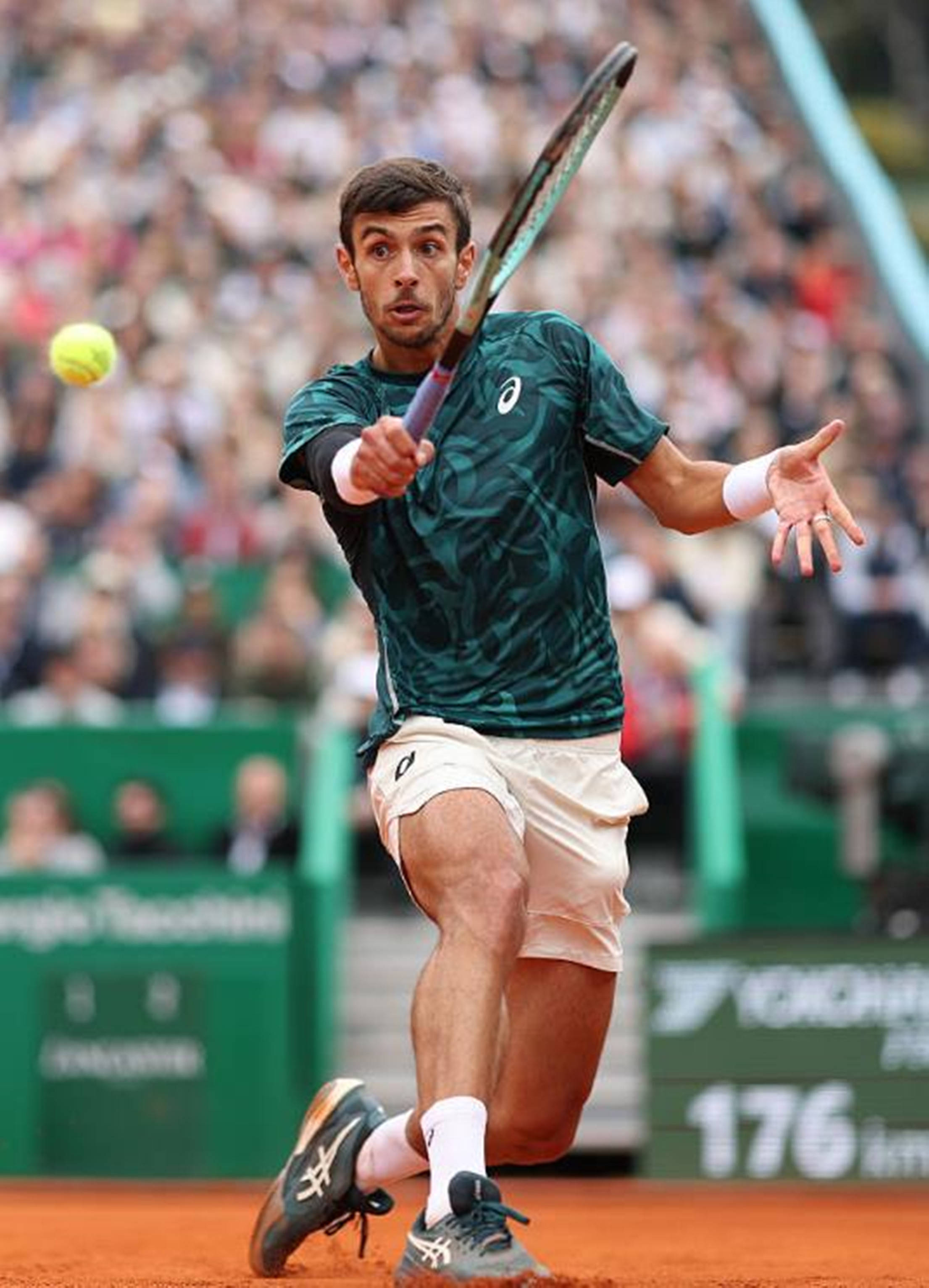 维尼修斯用 维尼修斯用